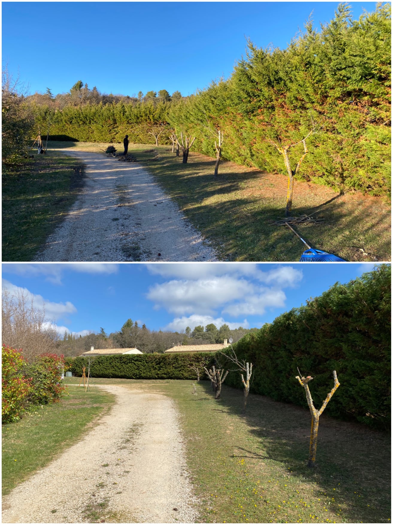 Arbosphere Provence - élagage délicat, débroussaillage, entretien de jardins, taille de haies, vente de bois et de végétaux, petits travaux de maçonnerie