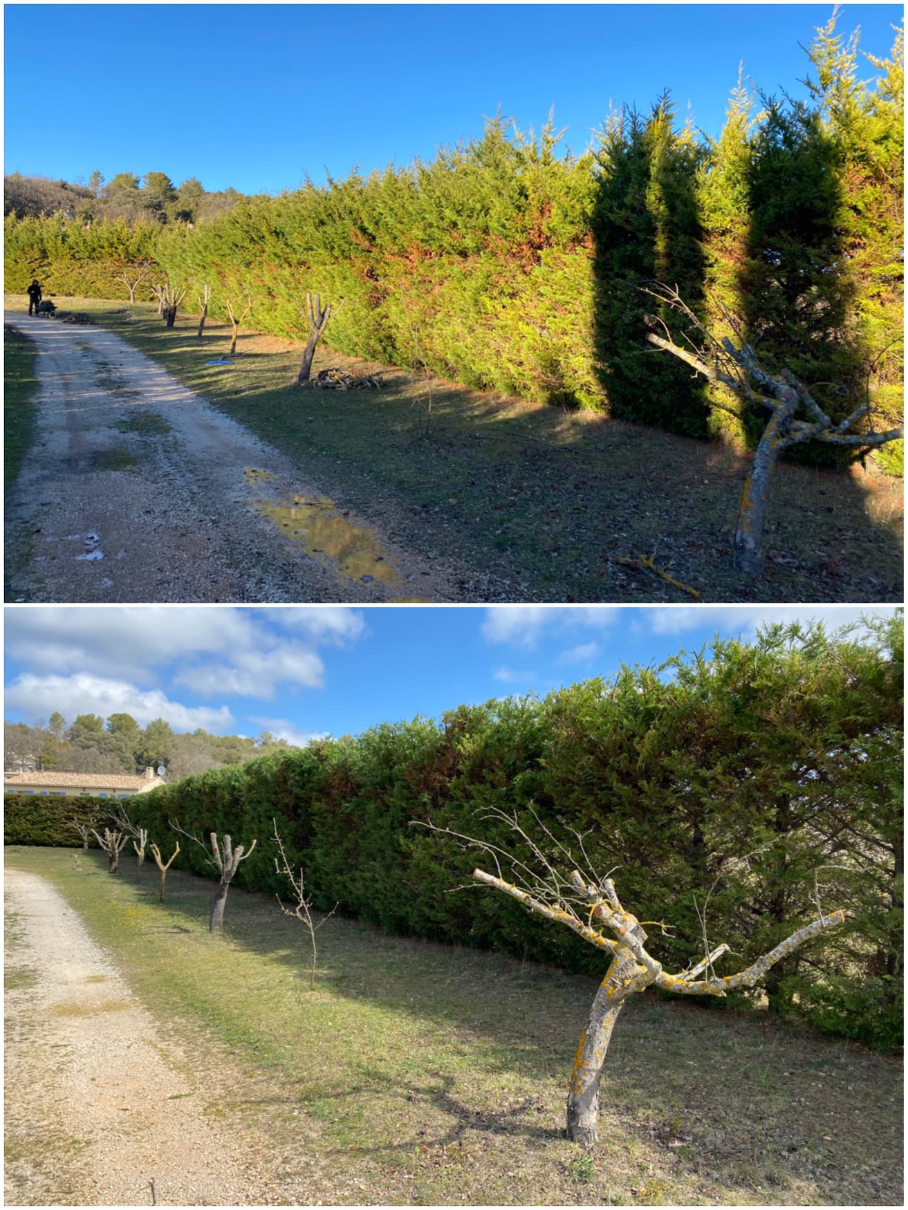 Arbosphere Provence - élagage délicat, débroussaillage, entretien de jardins, taille de haies, vente de bois et de végétaux, petits travaux de maçonnerie